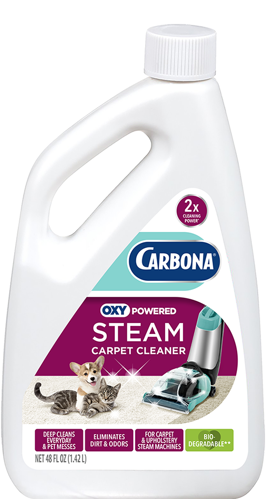 Carbona Steam Carpet Cleaner