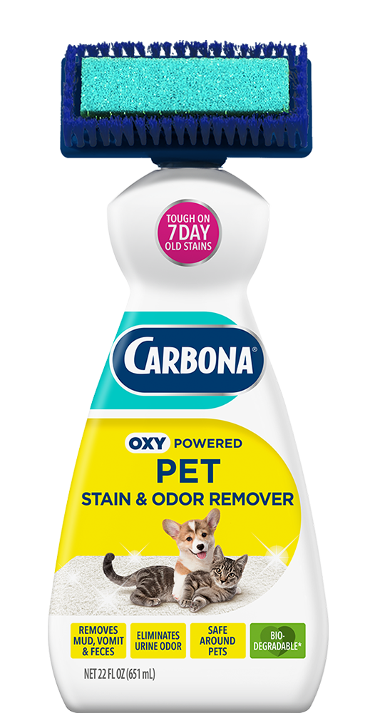 Carbona Carpet Pet stain an odor Cleaner