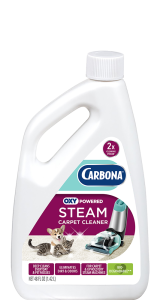 Carbona Steam Cleaner
