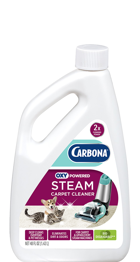Carbona Steam Cleaner